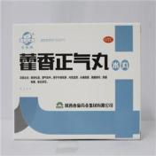 藿香正气丸(香菊)