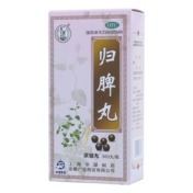 归脾丸(仁济堂)