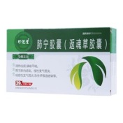 肺宁胶囊(银诺克)