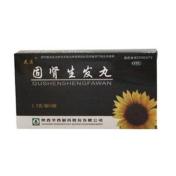 固肾生发丸(华西)