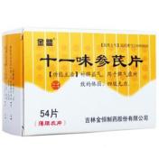 十一味参芪片(金盟)