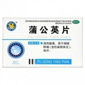 蒲公英片(龙门)