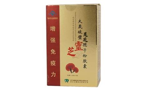 破壁靈芝孢子粉膠囊(大晟)主圖