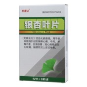 银杏叶片(怡康达)