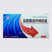 盐酸氟桂利嗪胶囊(秦虹)