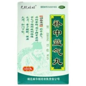补中益气丸(梁湖)