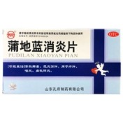 蒲地蓝消炎片(孔府)