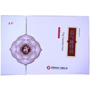 益气健肾膏