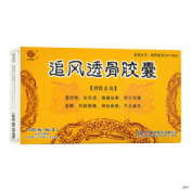 追风透骨胶囊(天地恒一)