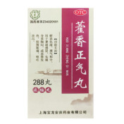 藿香正气丸(上龙)