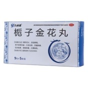 栀子金花丸(九州通)