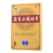 麝香止痛贴膏(修正)