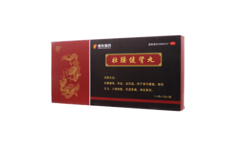 壮腰健肾丸(太行山)主图