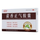 藿香正气胶囊(旺林堂)