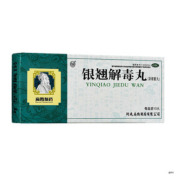 银翘解毒丸()
