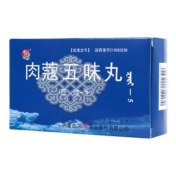 肉蔻五味丸(盛唐)