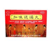 加味逍遥丸(丹龙)