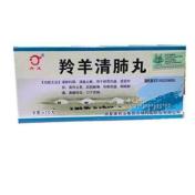 羚羊清肺丸(丹龙)