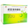 感冒清热颗粒(阿房宫)