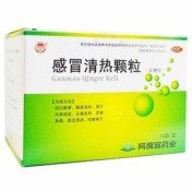 感冒清热颗粒(阿房宫)