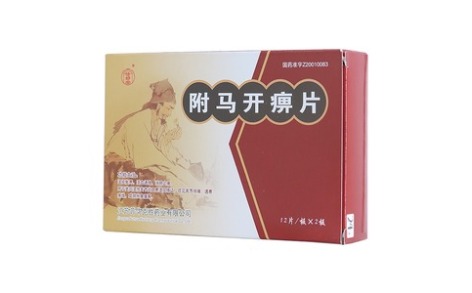 附马开痹片(修好堂)主图