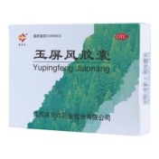 玉屏风胶囊(吉贝尔)