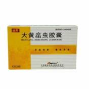 大黄䗪虫胶囊(颐海)