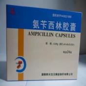 氨苄西林胶囊()