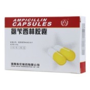 氨苄西林胶囊(其他)