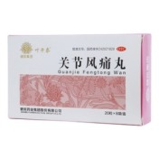 关节风痛丸(叶开泰)