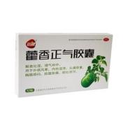 藿香正气胶囊(远健)