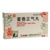 藿香正气丸(杨文水)