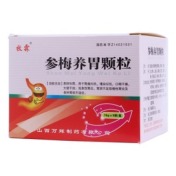 参梅养胃颗粒(牧霖)