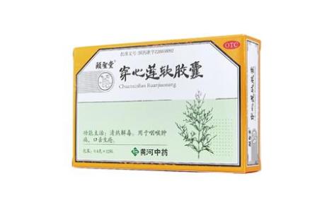 穿心蓮軟膠囊(頤圣堂)主圖