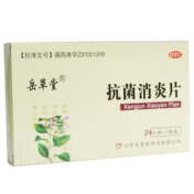抗菌消炎片(晁氏)