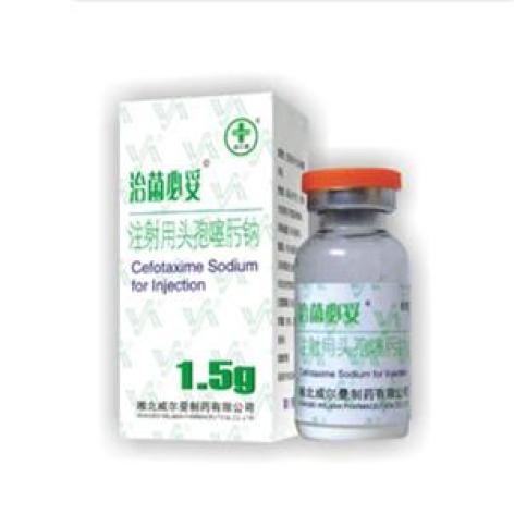 注射用头孢噻肟钠(治菌必妥)包装主图