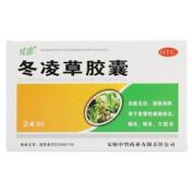 冬凌草胶囊(健康)