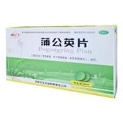 蒲公英片(龙门)