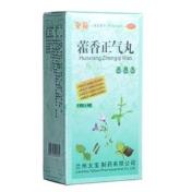 藿香正气丸(唐龍)