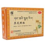 参芪颗粒(武都)