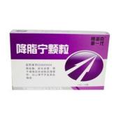 降脂宁颗粒(真匠)