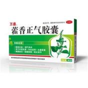 藿香正气胶囊(辉南辉发)