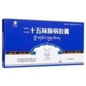 二十五味肺病胶囊()