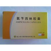 氨苄西林胶囊(海口奇力)