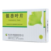 银杏叶片(海口奇力)