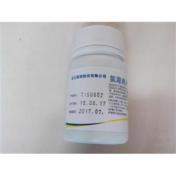 氯霉素片(西南合成)