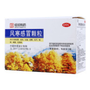 风寒感冒颗粒(南海)