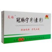 冠脉宁片(昊福)