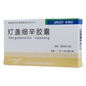 灯盏细辛胶囊(生物谷)
