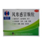 风寒感冒颗粒(修正)